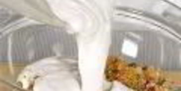 свиные шашлыки в кокосовой стружке