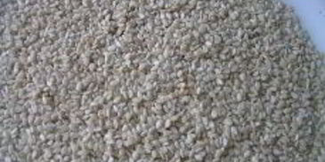 шницель в мятной панировке с кунжутом