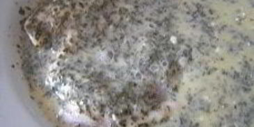 шницель в мятной панировке с кунжутом