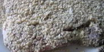 шницель в мятной панировке с кунжутом