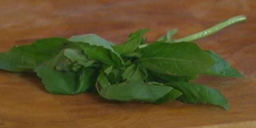 стейки из семги на гриле с чесноком и помидорами