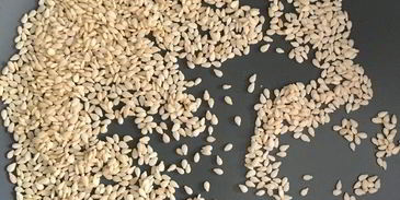 домашние тефтели в томатном соусе с зеленым булгуром