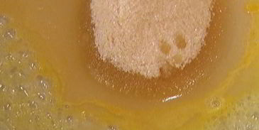 ленивые вареники с клубникой и базиликом