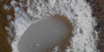 вареники с черникой