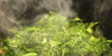 жаркое из конины