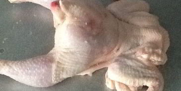 жаркое из курицы, праздничный кулич