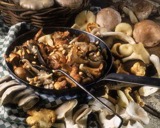 Жаркое с летними опятами