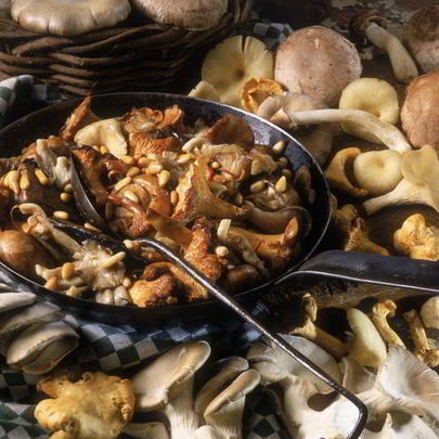 Жаркое с летними опятами
