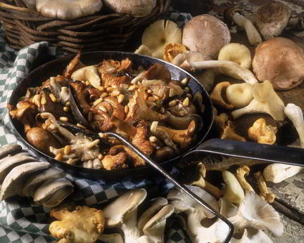 Жаркое с летними опятами
