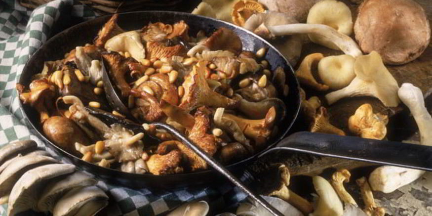 Рецепт жаркого с летними опятами