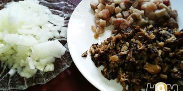 зразы нельсон