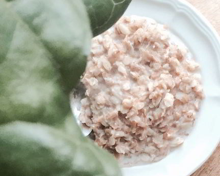 Геркулесовая каша