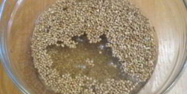 гречка под соусом