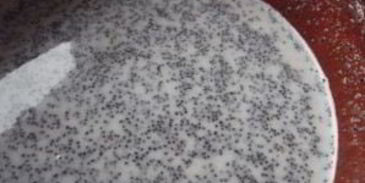 кутья жидкая