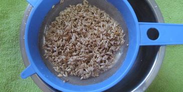 овсяная каша из цельного зерна