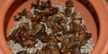 каша перловая с говядиной