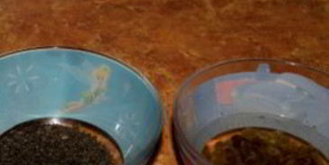 кутья из перловки