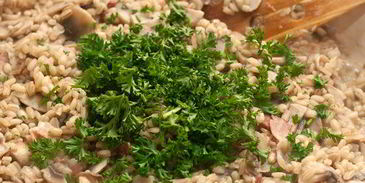 перловая каша с грибами и беконом