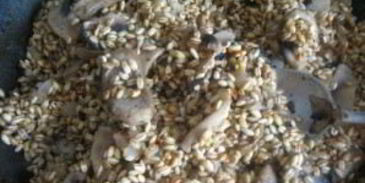 перловая каша в духовке