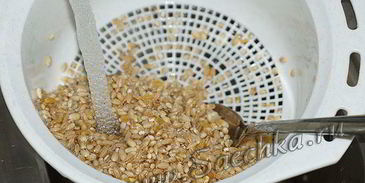 перловка с тушенкой в мультиварке steba