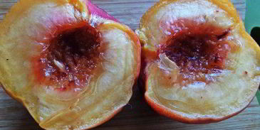 каша пшенная, запеченная под персиком