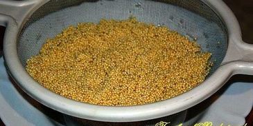 пшенная каша