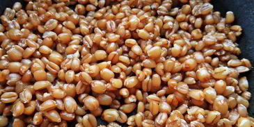 рождественская кутья из пшеницы