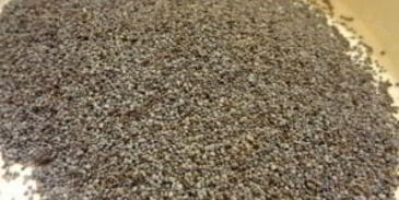 рождественская кутья с медовой водой