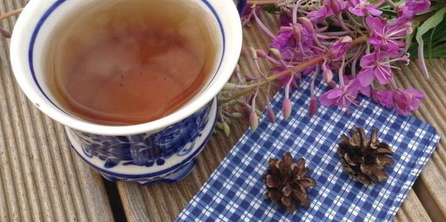 Рецепт чая кипрей