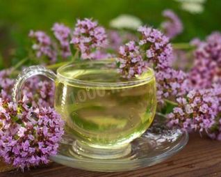 Чай орегано