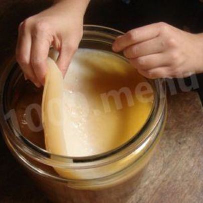 Чайный гриб