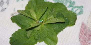 марокканский мятный чай