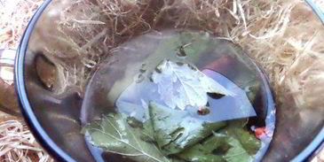 согревающий чай со специями