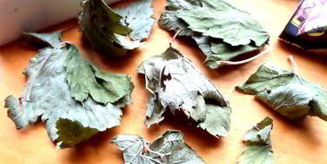 согревающий чай со специями