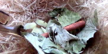 согревающий чай со специями