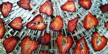 сушеная клубника на чай