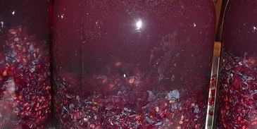 домашнее вино изабелла