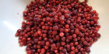 глеги — национальный рождественский напиток финляндии