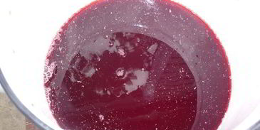 дедушкин любимый кисель