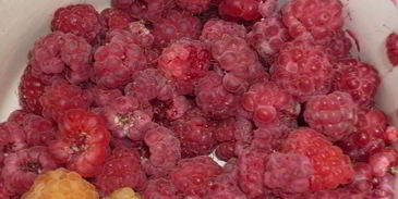 дедушкин любимый кисель