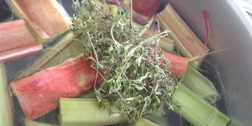 кисель чабрец, ревень и малина