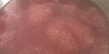 кисель чабрец, ревень и малина