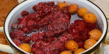 кисель фруктовый