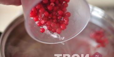 кисель из крахмала