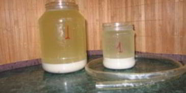 кисель из овса для печени