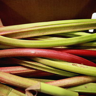 Кисель из ревеня