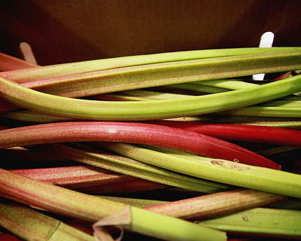 Кисель из ревеня