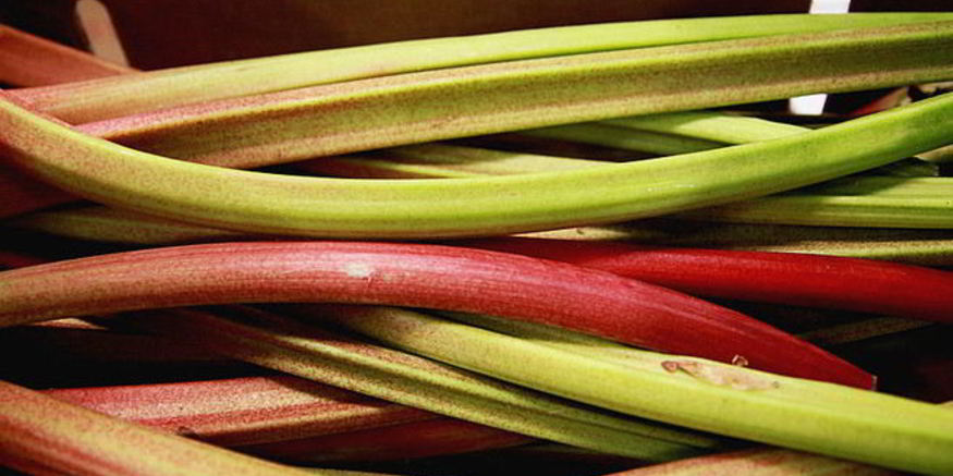 Рецепт киселя из ревеня