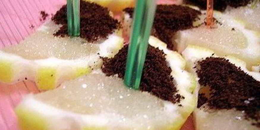 Рецепт лимонных ломтиков с кофе