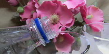 коктейль с апельсиновым соком и мороженым